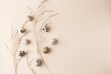 Natural beige spring, Easter background with dry herbs and quail eggs. Internet banner, minimal...