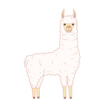Cute llama. Illustration on transparent background
