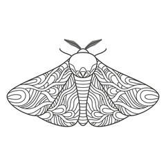 Decorative fantastic moth. Wings covered with ornaments for coloring. Illustration on transparent background