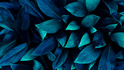 tropical leaf background, dark blue color toned