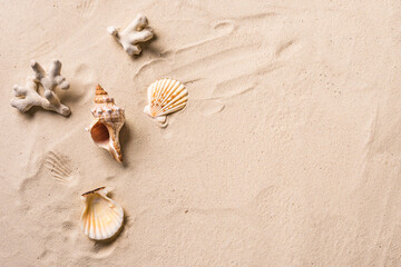 Naklejka na ściany i meble Seashells on beach sand