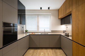Modern kitchen with built in appliances