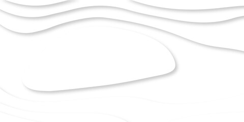 Abstract Luxury paper cut background, Abstract decoration, white pattern lines gradients, 3d Vector illustration, topographic canyon map light relief texture, curved layers.