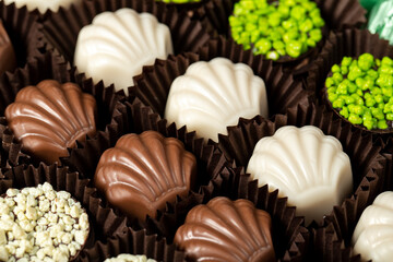 Chocolate. Fine chocolate varieties with white, dark and milk chocolate. Praline Chocolate sweets. close up