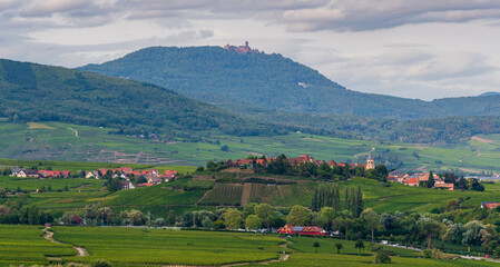 Fototapeta na wymiar Zellenberg sur sa colline au cœur du vignoble alsacien, au loin, le château du Haut-Kœnigsbourg, CEA, Alsace, Vosges alsacienne, Grand Est, France.
