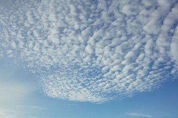 Awan Altocumulus clouds on blue sky in a highland in a morning