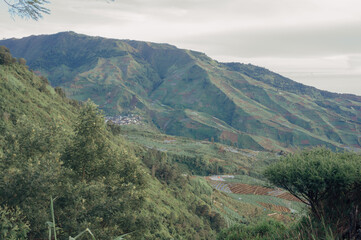 Scenery of green fertile plantation farmland crop terrace in Dieng plateau, Banjarnegara, Indonesia.