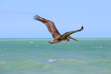 Impressions of Yucatan in Mexico