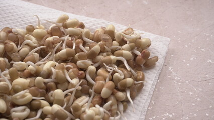 Sprouted matki or moth bean which is rich in protein and vitamins in plate with lemon and chilly.