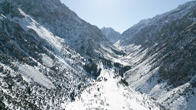 Aerial view of snow capped mountains and fir trees in the winter park