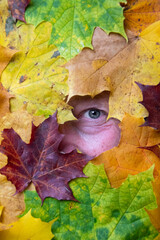 Eye of woman through colorful leaves