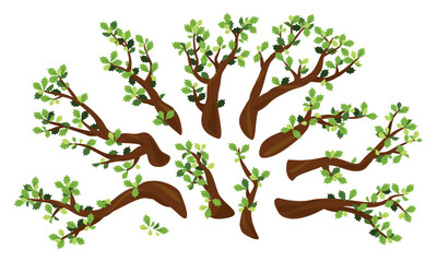 Set of ten oak branches with green leaves isolated illustration, group of different branches for tree create © Oceloti