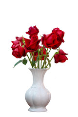 Withered roses in a pale white vase on a white background,day of love
