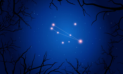 Vector illustration Circinus constellation. Tree branches, dark blue starry sky