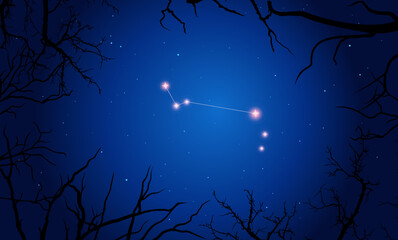 Vector illustration Apus constellation. Bright constellation in open space, blue sky. Starry sky behind tree silhouette