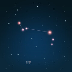 Obraz na płótnie Canvas Constellation Lacerta scheme in starry sky. Open space. Vector illustration, constellation through a telescope