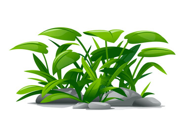 Plants with green leaves grow around stones in landscape design, detailed jungle plants on ground isolated illustration, decorative plant composition on ground, dense vegetation of the jungle © Oceloti