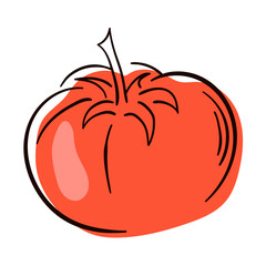 Tomato line drawing. Flat illustration of Tomato vector icon isolated on white background.