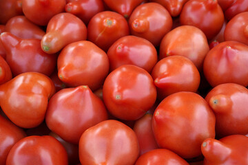 red tomatoes background. food background with organic vegetables, new crop tomato.