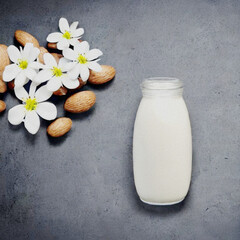 Fototapeta na wymiar Dessert aus Milch, Jogurt und Mandeln