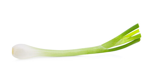 green onions isolated on white background