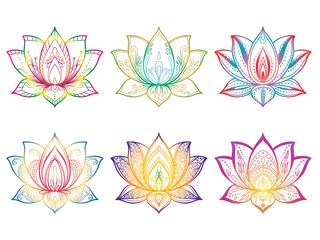 Collection of Sacred Lotus flower.  Illustration on transparent background