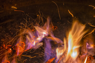 Bright fire from burning firewood with sparks and various shades of red-lilac flowers. Close-up.
