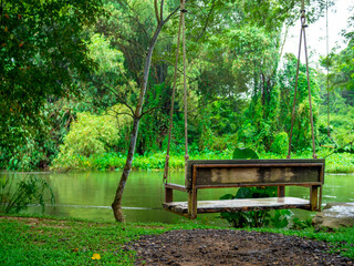 Back view of a empty alone wooden swing hanging on the big tree over the stream on the green forest background, relaxing place. Hanging bench chair seat with the nature view.
