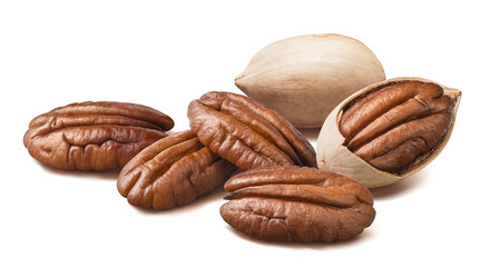 Pecan group isolated on white background. Nuts in shell and peeled nuts.