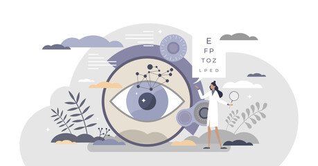 Ophthalmology as eye and vision healthcare occupation tiny person concept, transparent background. Medical sight checkup, diagnosis and look treatment illustration. © VectorMine