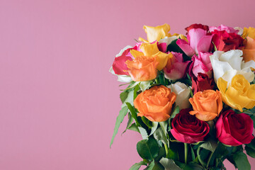 Bunch of colorful roses. Beautiful bouquet of roses in variety of colors on dusty pink background with copy space