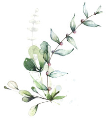 Delicate greenery arrangement watercolor painted. Bouquet with branches, green leaves. Cut out hand drawn PNG illustration on transparent background. Watercolour isolated clipart drawing.