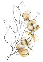 Bouquet with beige eucalyptus branch and black line art sketch leaves. Watercolor painted floral arrangement design. Cut out hand drawn PNG illustration on transparent background. Isolated clipart.