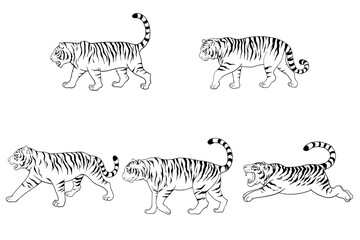 Fototapeta na wymiar 5匹の横向きの虎の線画