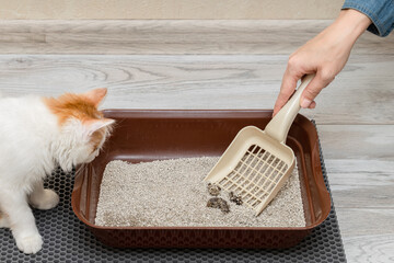 man cleans the cat litter box with a shovel