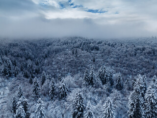 Winter in Bieszczady Mountain