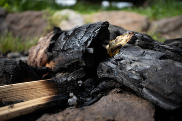 Fire ring with burned wood and forest on background