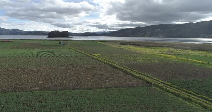 Paisaje sobre cultivos y lago de tota