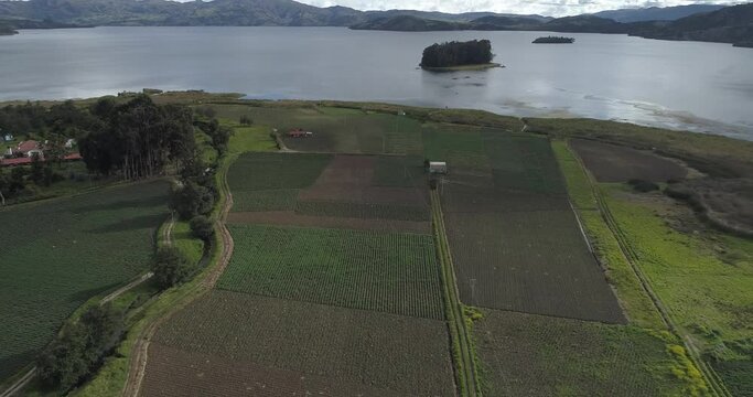 Vista de cultivos a orilla lago de tota 