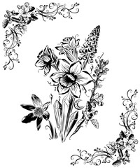 Frühlingsanfang mit Osterglocken Narzissen und Obstbaumblüten. Handgezeichnete Vektor Design Elemente für den Frühling und Ostern. - 563956987