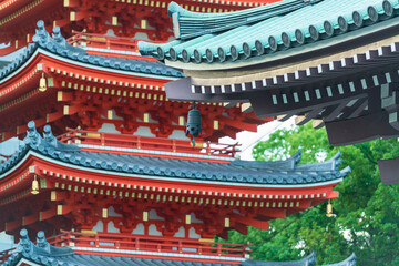 Fototapeta na wymiar Japan curved roofs.