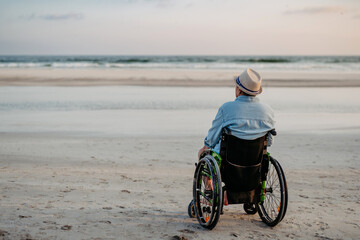 Rear view of man sitting on wheelchair and enjoying view at sea.