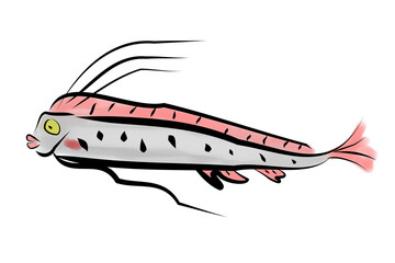 打ち上げられたリュウグウノツカイのペン画