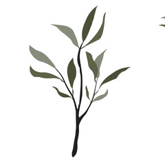 Olive Set of leave branch on PNG White transparent background Cover. Stock vector illustration 08