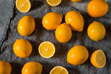 Homemade Organic Yellow Meyer Lemons