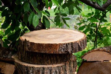 Fototapeta premium Wood chopped into rings