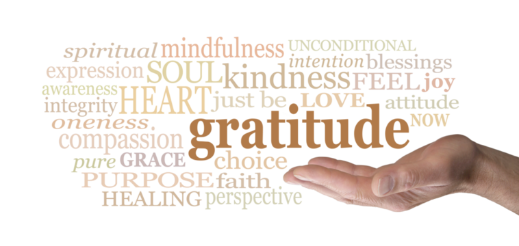 Male open hand palm upwards with GRATITUDE word cloud floating above transparent png file - Powered by Adobe
