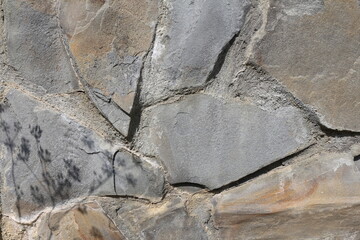 A fragment of an old wall with the shadow of a plant on it. Stone background. Bumpy gray stone surface.
