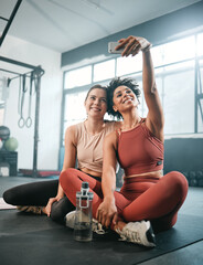 Friends, selfie and fitness with women in gym for workout, social media and wellness blog....