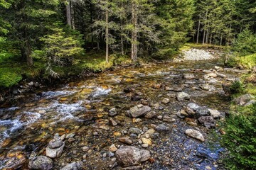 creek in the woods, Lake Etrachsee, Styria, Austria